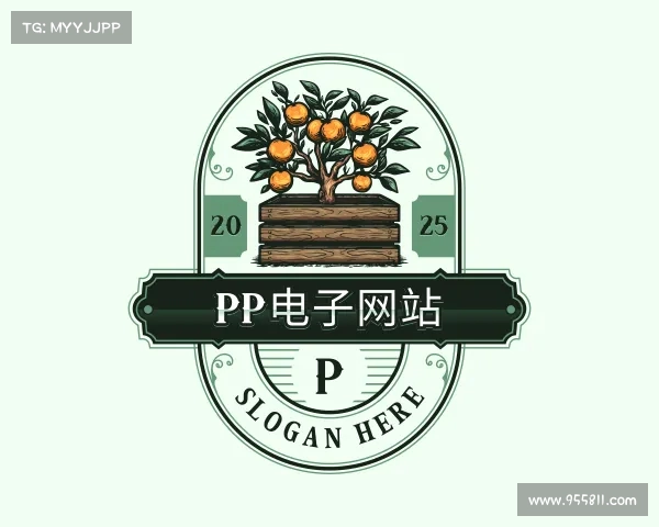 知道pp电子平台登录